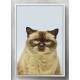 Quadro Decorativo Gato Bege e Fundo Azul Claro