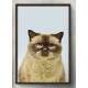 Quadro Decorativo Gato Bege e Fundo Azul Claro