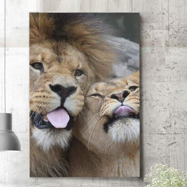 Quadro Decorativo Leo e Leoa com a Lngua para fora