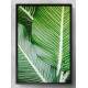 Quadro Decorativo Folhas Verde