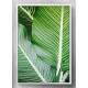 Quadro Decorativo Folhas Verde