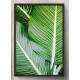 Quadro Decorativo Folhas Verde
