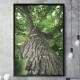Quadro Decorativo Tronco De Arvore
