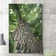 Quadro Decorativo Tronco De Arvore