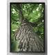 Quadro Decorativo Tronco De Arvore