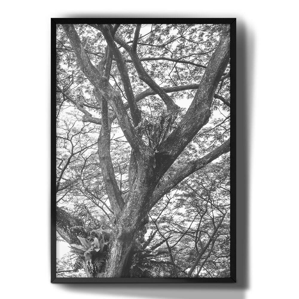 Quadro Decorativo �rvore Abstrato Preto e Branco
