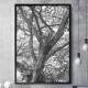 Quadro Decorativo �rvore Abstrato Preto e Branco