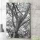 Quadro Decorativo �rvore Abstrato Preto e Branco