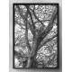 Quadro Decorativo �rvore Abstrato Preto e Branco