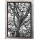 Quadro Decorativo �rvore Abstrato Preto e Branco