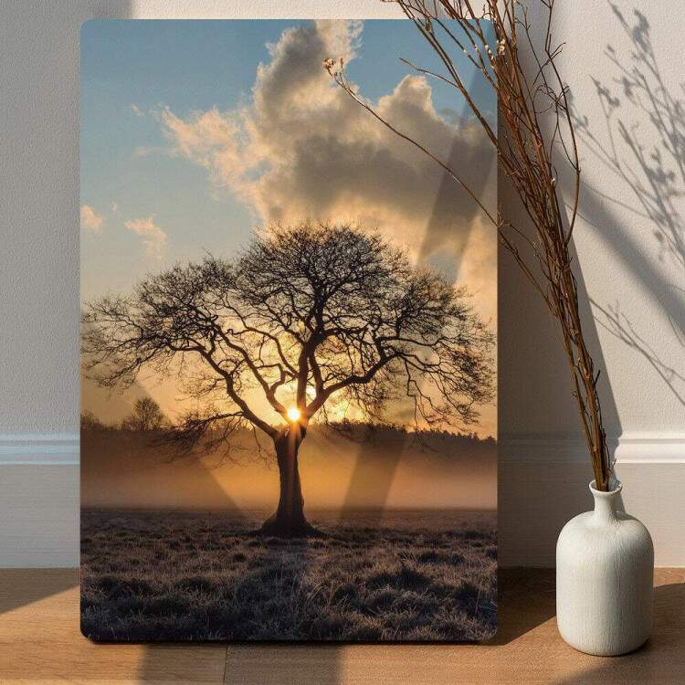 Placa Decorativa rvore Por do Sol