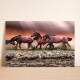 Placa Decorativa Cavalos Correndo na �gua