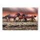 Placa Decorativa Cavalos Correndo na �gua