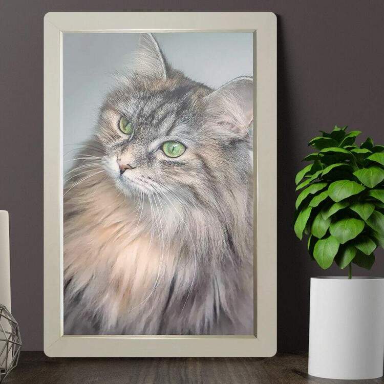 Placa Decorativa Gato Bege de Olhos Verdes 01