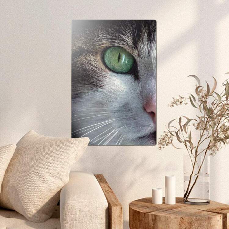 Placa Decorativa Gato de Olhos Verdes 02