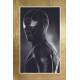 Placa Decorativa Homem Aranha Moldura Dourada 02