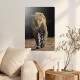 Placa Decorativa On�a Pintada Olhar
