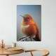 Placa Decorativa P�ssaro Laranja