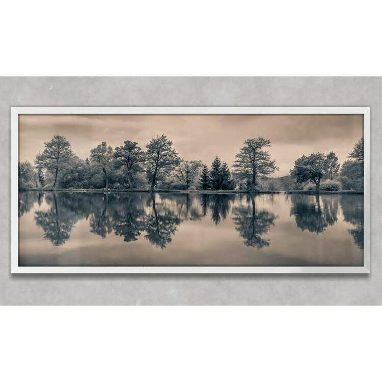 Quadro Decorativo Slim rvores e Lago Preto e Branco