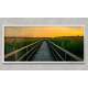 Quadro Decorativo Slim Passarela de Madeira e P�r do Sol