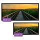 Quadro Decorativo Slim Passarela de Madeira e P�r do Sol