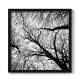 Quadro Decorativo Quadrado galhos de �rvore Preto e Branco Vista de Baixo