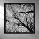 Quadro Decorativo Quadrado galhos de �rvore Preto e Branco Vista de Baixo