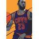 Placa Decorativa Desenho LeBron James Cavs 23