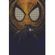 Placa Decorativa Homem Aranha Preto e Dourado