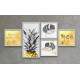 Conjunto de Quadros Decorativos Abacaxi Dourado