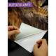 Adesivo Para Notebook Le�o