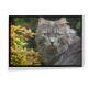 Quadro Decorativo Gato Cinza Olhos Verdes