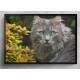 Quadro Decorativo Gato Cinza Olhos Verdes