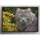Quadro Decorativo Gato Cinza Olhos Verdes