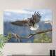 Quadro Decorativo Aguia No Voo