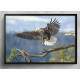 Quadro Decorativo Aguia No Voo