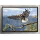Quadro Decorativo Aguia No Voo