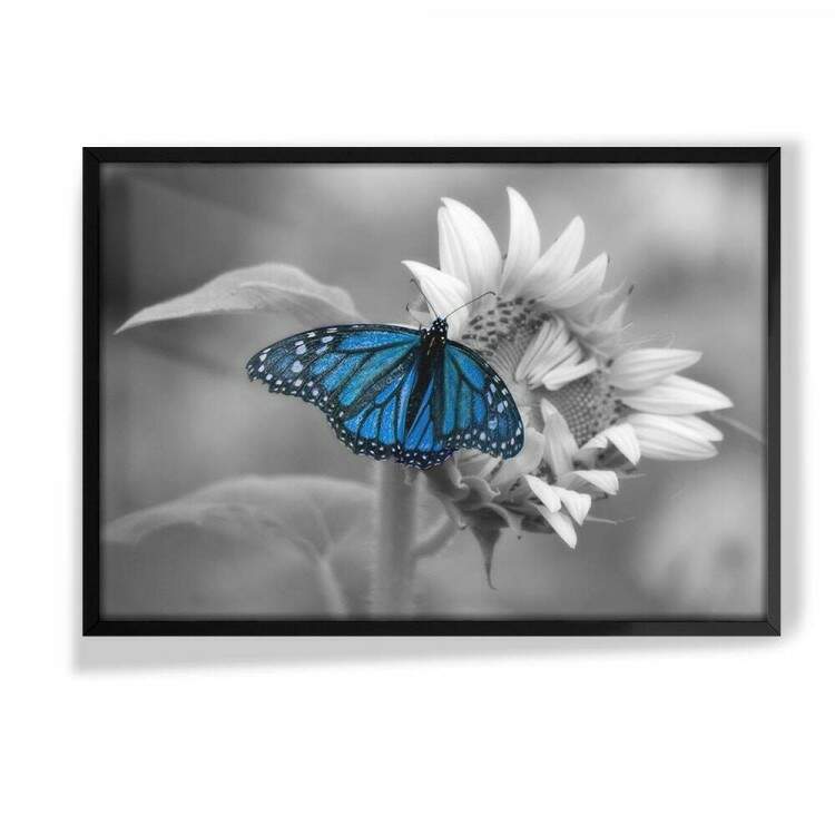 Quadro Decorativo Borboleta Azul no Girassol