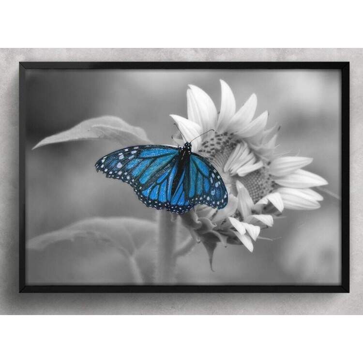 Quadro Decorativo Borboleta Azul no Girassol