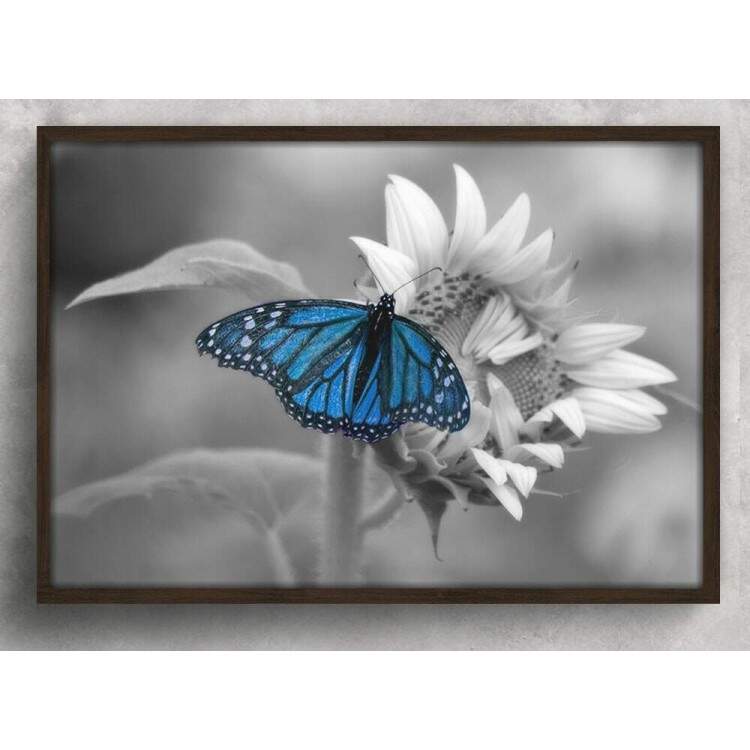 Quadro Decorativo Borboleta Azul no Girassol