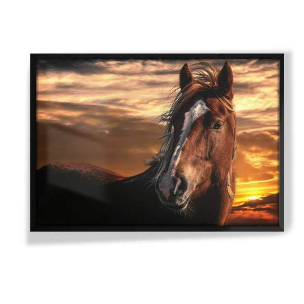 Quadro Decorativo Cavalo Marrom Por Do Sol