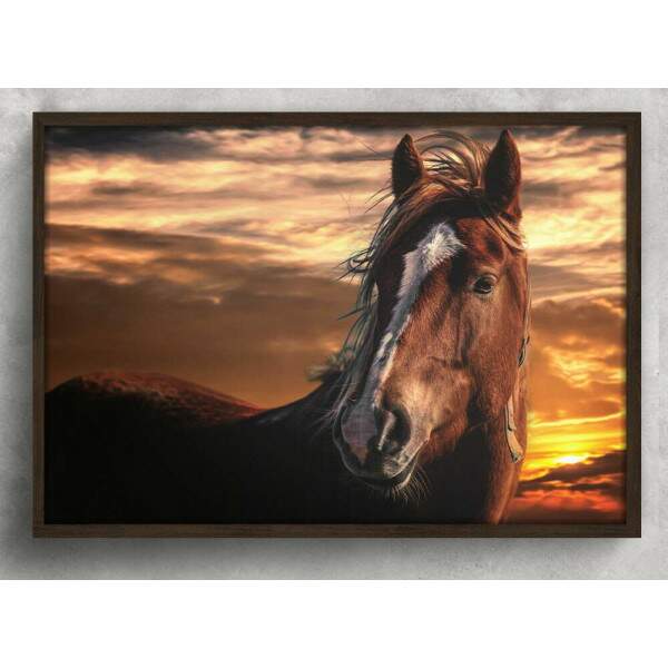 Quadro Decorativo Cavalo Marrom Por Do Sol