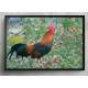 Quadro Decorativo Galo nas Flores