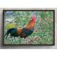 Quadro Decorativo Galo nas Flores