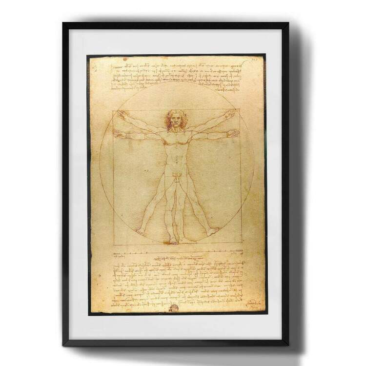 Quadro Decorativo Da Vinci Homem Vitruviano