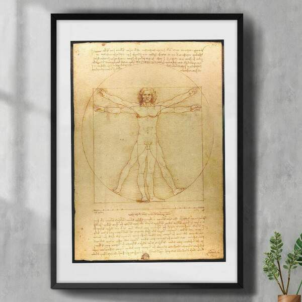 Quadro Decorativo Da Vinci Homem Vitruviano