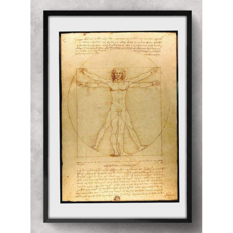 Quadro Decorativo Da Vinci Homem Vitruviano