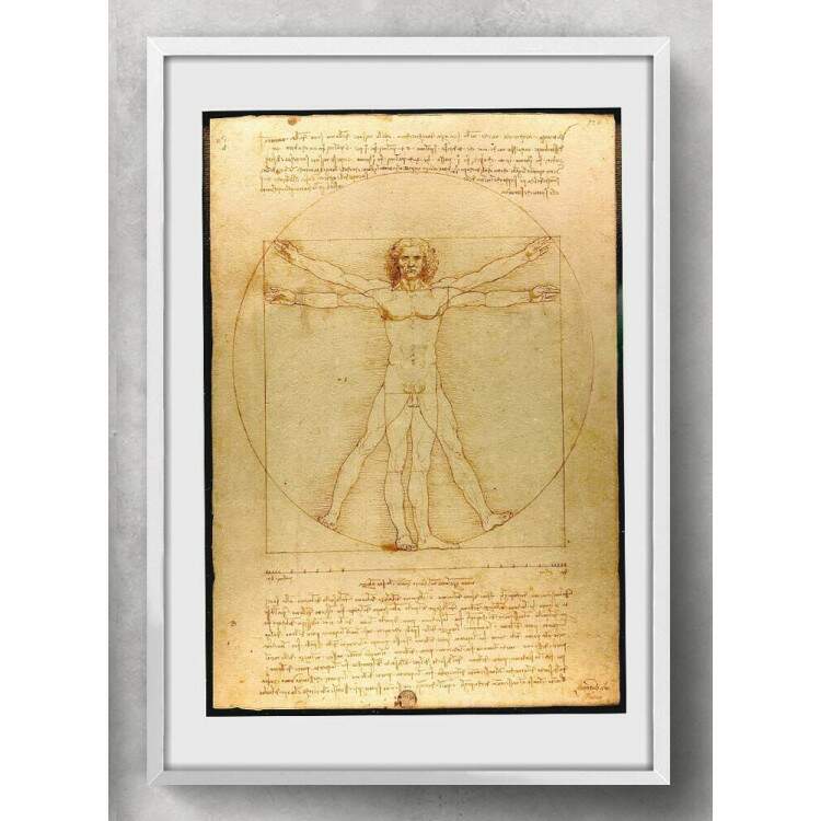 Quadro Decorativo Da Vinci Homem Vitruviano