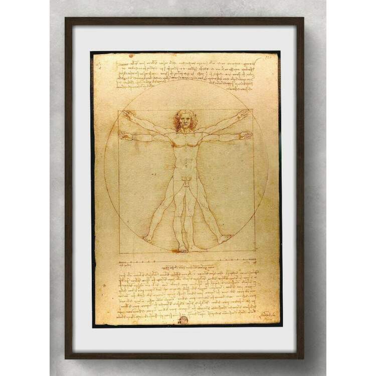 Quadro Decorativo Da Vinci Homem Vitruviano