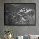 Quadro Decorativo Esqueleto Dinossauro T Rex
